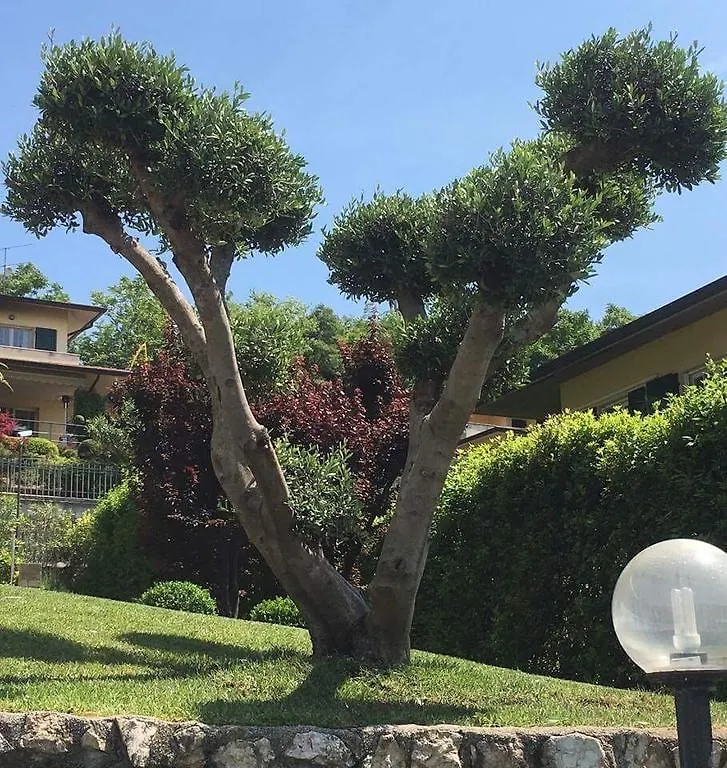Villa Elisa Relax Поццоленго 0*,